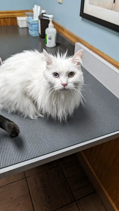 Pleasant Ridge Pet Hospital Picture 10