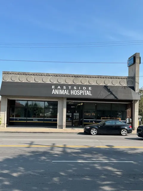 Eastside Animal Hospital and Urgent Care Picture 4