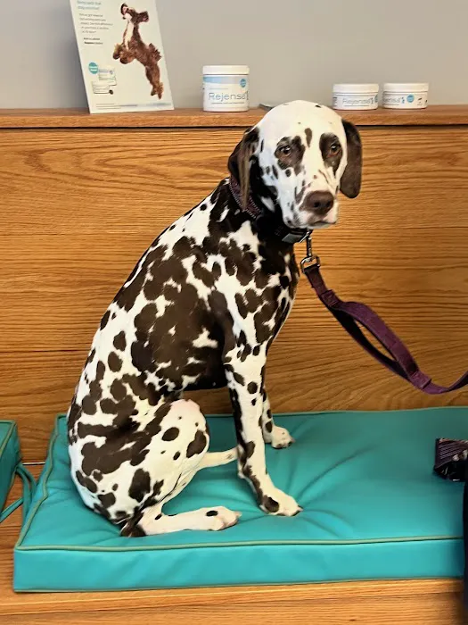 Eastside Animal Hospital and Urgent Care Picture 6