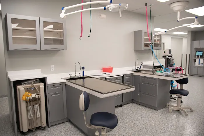 Dayton Humane Veterinary Hospital Picture 1