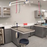 Dayton Humane Veterinary Hospital ico
