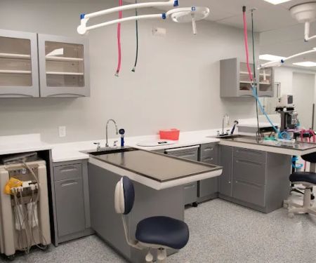 Dayton Humane Veterinary Hospital