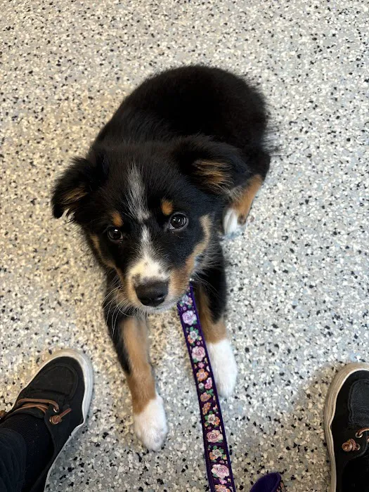 Dayton Humane Veterinary Hospital Picture 3