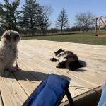 Farmersville Veterinary