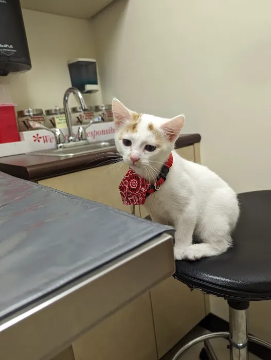 Farmersville Veterinary Picture 6