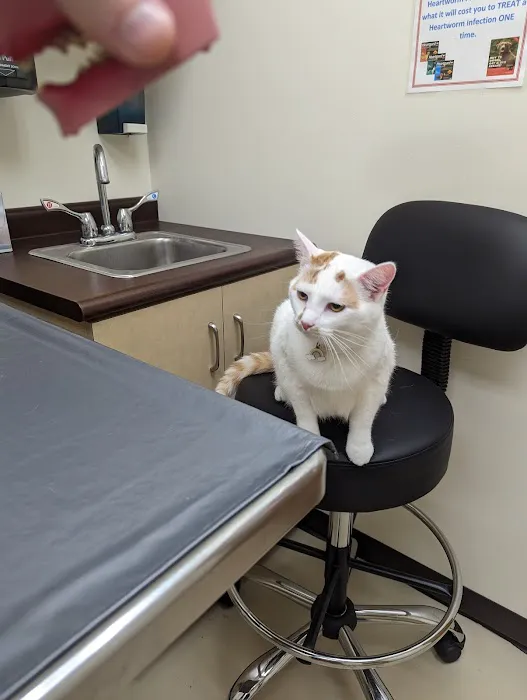 Farmersville Veterinary Picture 9