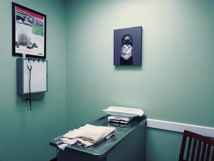 Brookside Animal Hospital Picture 7