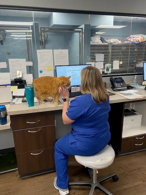 West Side Animal Clinic Picture 5