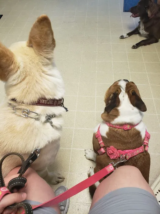 West Side Animal Clinic Picture 9