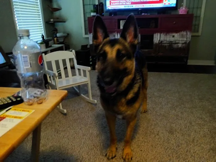 Dixie Animal Clinic Picture 2