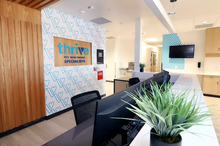 Thrive Pet Healthcare Specialists San Antonio Picture 10