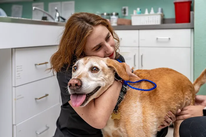 AmeriVet Veterinary Partners Picture 3
