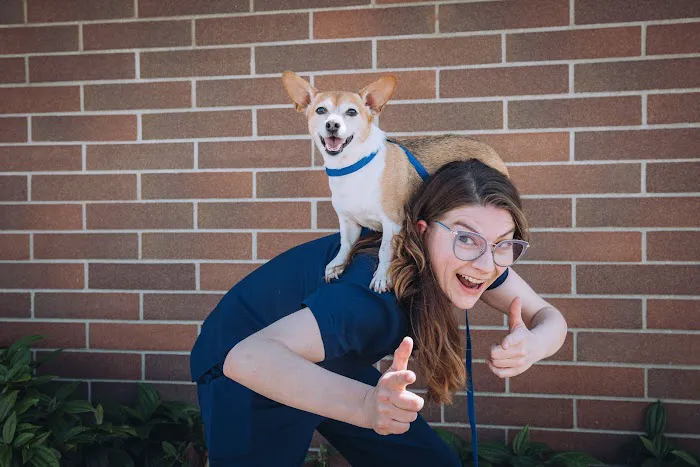 AmeriVet Veterinary Partners Picture 5
