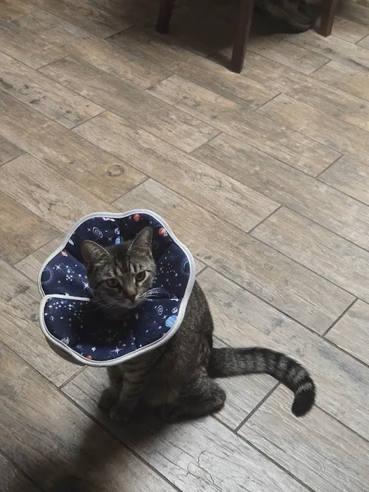 Thrive Pet Healthcare - Broadway Picture 2