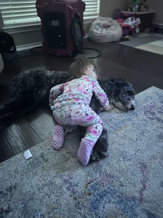 Thrive Pet Healthcare - Broadway Picture 4