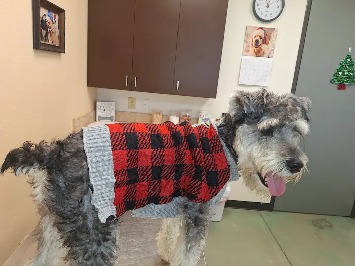 China Grove Veterinary Clinic Picture 9