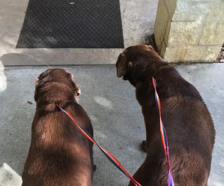 Pets First Veterinary Center: Wright Heather H DVM