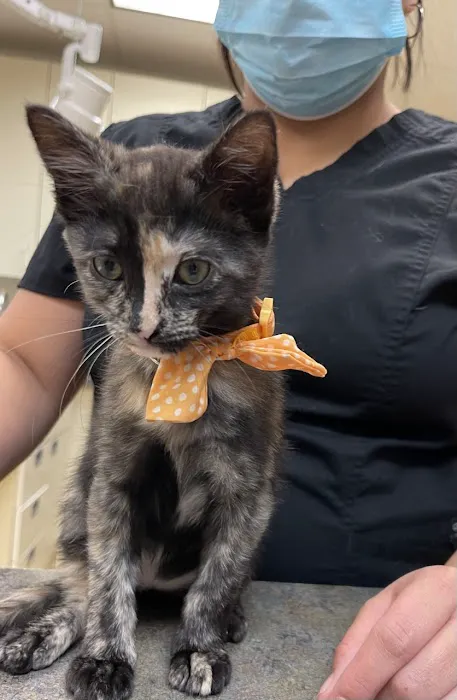 Pets First Veterinary Center Picture 5