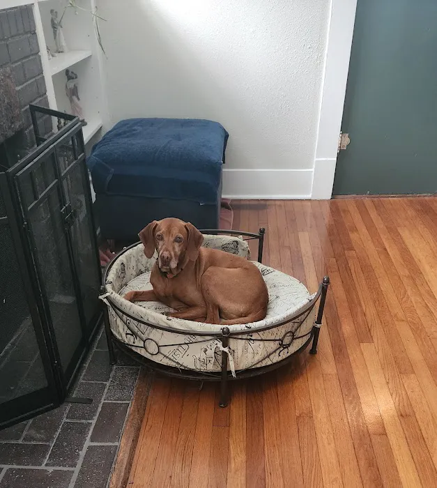 Pets First Veterinary Center Picture 3