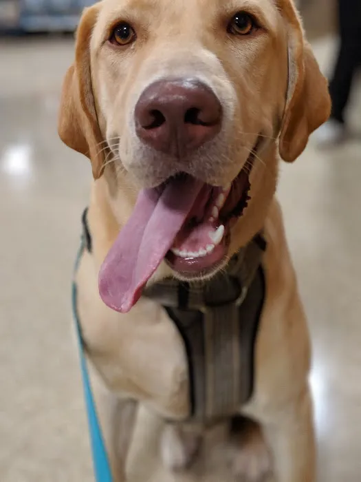 Banfield Pet Hospital Picture 5