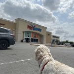 Banfield Pet Hospital