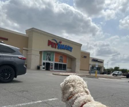Banfield Pet Hospital