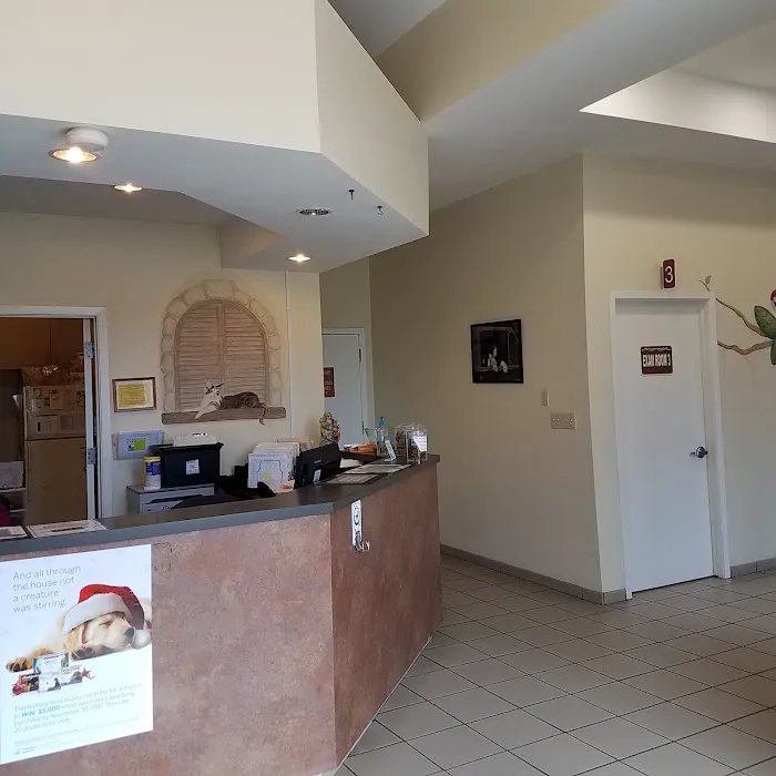 Ellison Drive Animal Hospital Picture 6