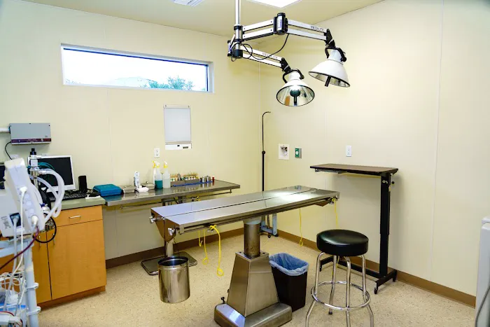 Animal Hospital of Westover Hills Picture 5