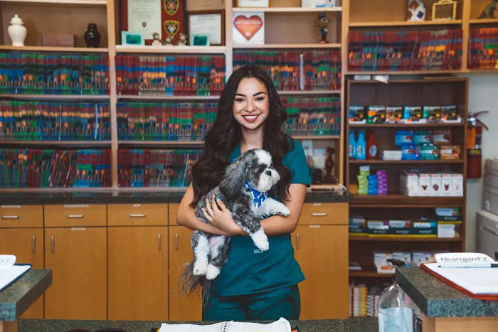 Animal Hospital of Westover Hills Picture 9