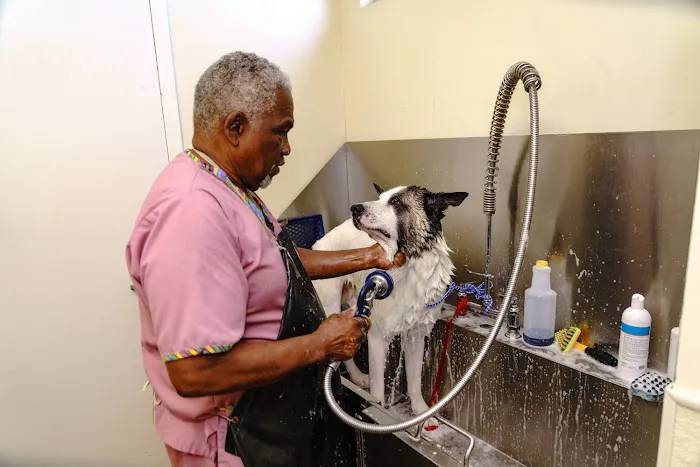 Animal Hospital of Westover Hills Picture 8