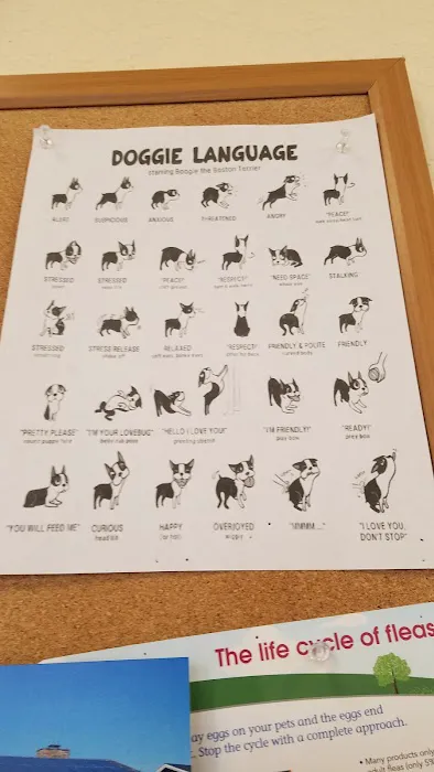 Vanguard Veterinary Clinic Picture 7
