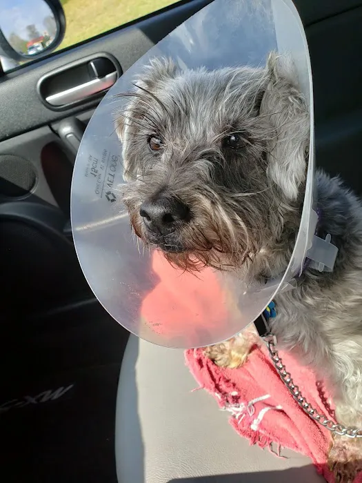 Vanguard Veterinary Clinic Picture 6