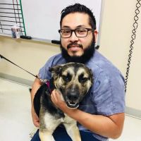 Potranco Veterinary Clinic ico
