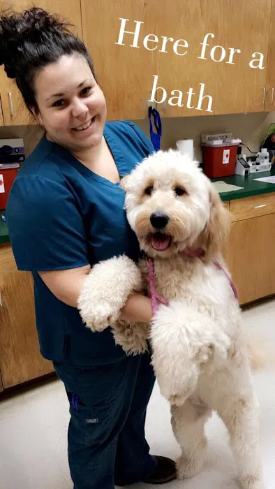Potranco Veterinary Clinic Picture 9