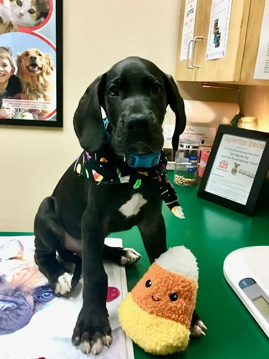 Potranco Veterinary Clinic Picture 8