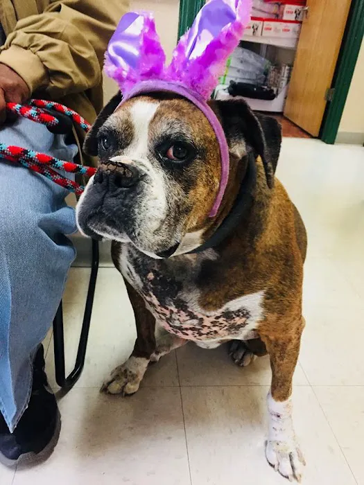 Potranco Veterinary Clinic Picture 6