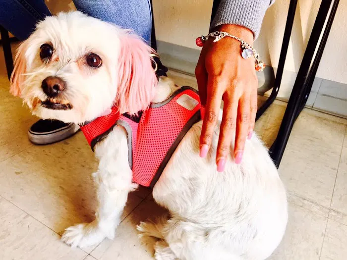 Potranco Veterinary Clinic Picture 4