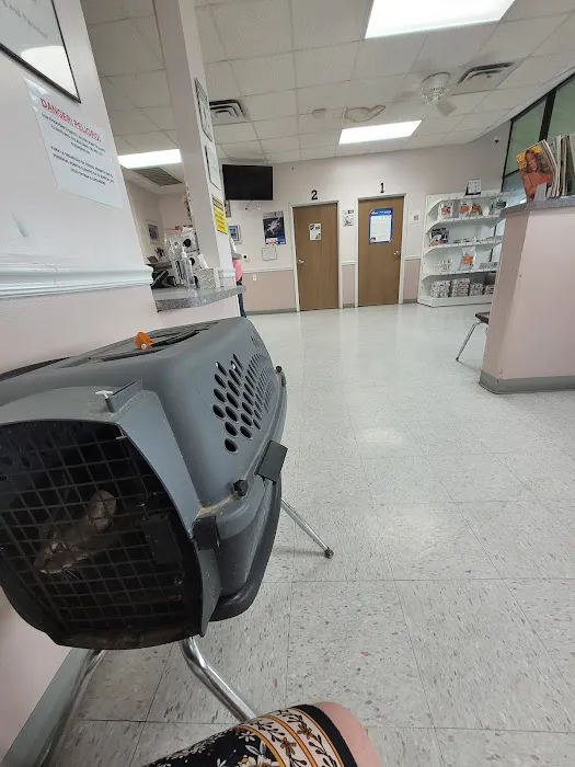 Angel Of Mercy Animal Critical Care, Inc. Picture 10
