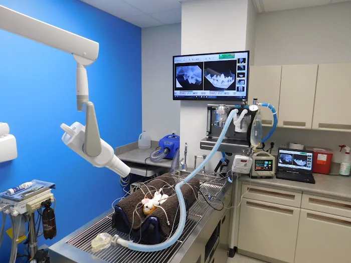 Great Northwest Animal Hospital Picture 1