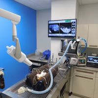 Great Northwest Animal Hospital ico