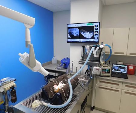 Great Northwest Animal Hospital