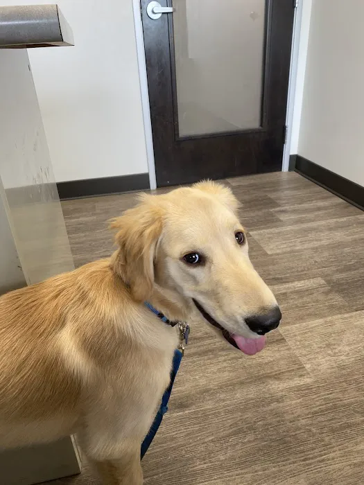 Great Northwest Animal Hospital Picture 7