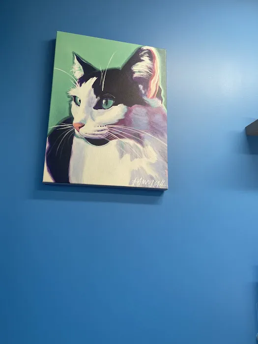 Great Northwest Animal Hospital Picture 6