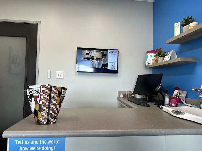 Great Northwest Animal Hospital Picture 8