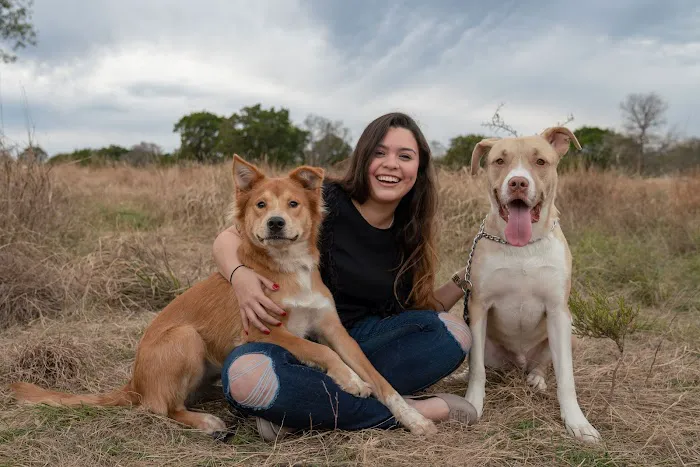 Covenant Care Animal Hospital, A Thrive Pet Healthcare Partner Picture 2
