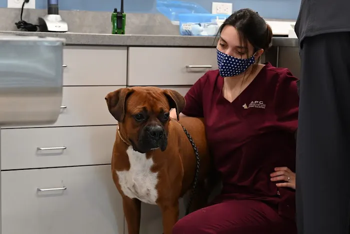 Covenant Care Animal Hospital, A Thrive Pet Healthcare Partner Picture 4