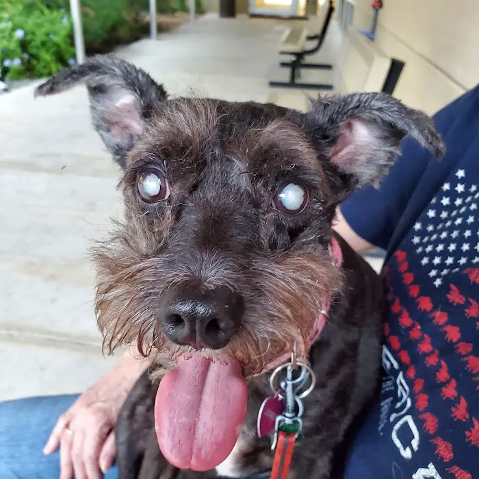 Leon Valley Veterinary Hospital Picture 4
