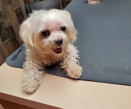 Leon Valley Veterinary Hospital