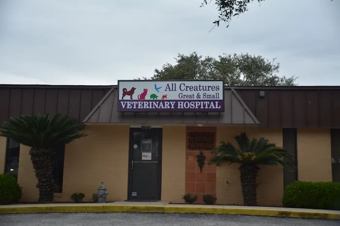 All Creatures Great & Small Veterinary Hospital Picture 7