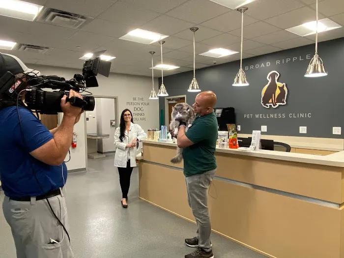 Broad Ripple Pet Wellness Clinic Picture 5